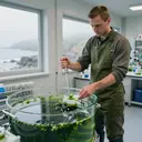 Image décorative illustrant Aquaculture en mer à Dolus-d'Oléron