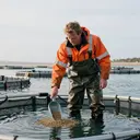 Image décorative illustrant Aquaculture en mer à Dolus-d'Oléron