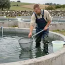 Image décorative illustrant Aquaculture en eau douce à Panjas